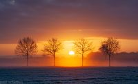 zonsopkomst polder heesch